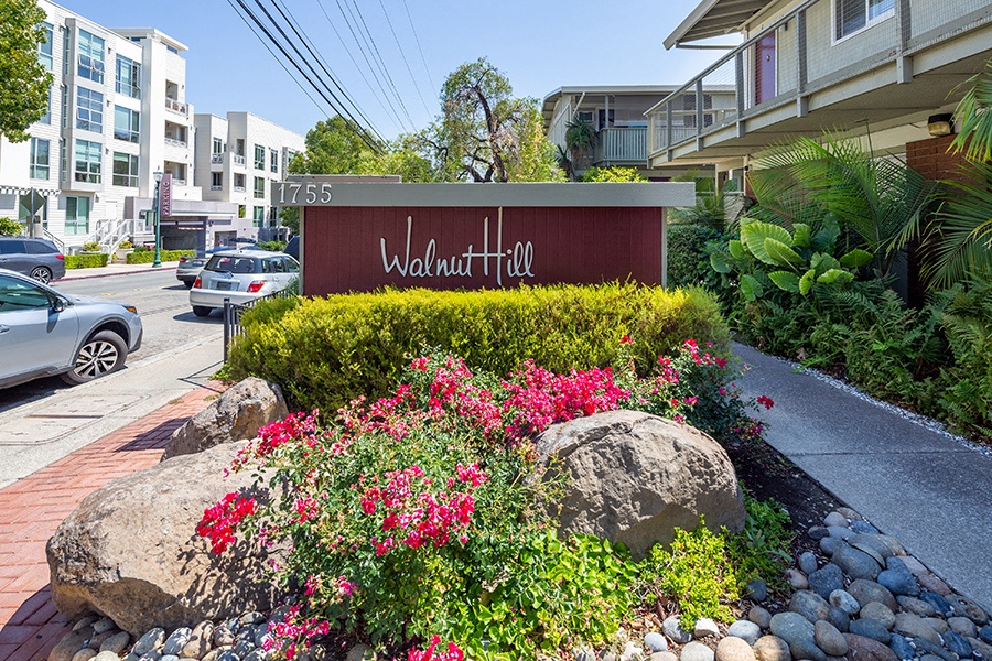 Walnut Hill photo 4